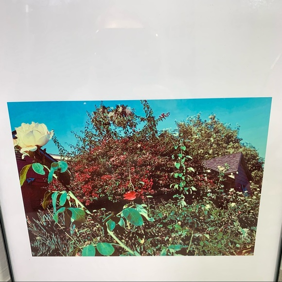 Lovely Star Original Photography Print - Picture 2 of 10